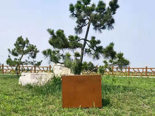 耐候鋼樹(shù)池 (1)